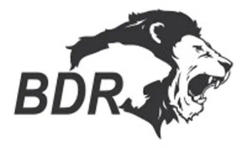 Bdr Lifescience